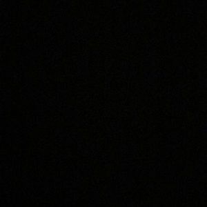 Meet your Posher, Taylpr